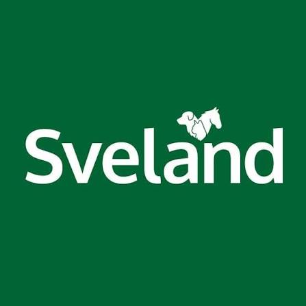 svealands försäkringar logotype